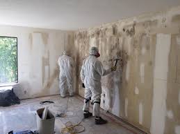 Best Real Estate Mold Inspection in Bystrom, CA